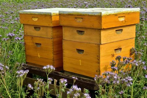 Metal Bee Box 